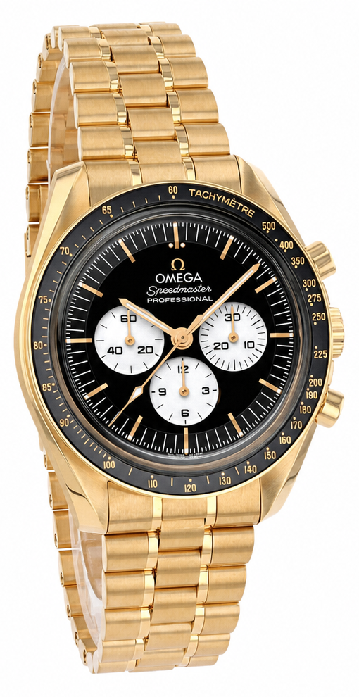 Omega Speedmaster Moonwatch Professional Co-Axial Master Chronometer 42 mm Ref. 310.60.42.50.01.002