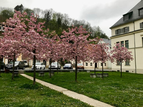 10 Jahre Uhrenmuseum Glashütte