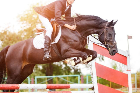 Longines Equestrian