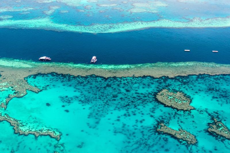 Oris Great Barrier Reef