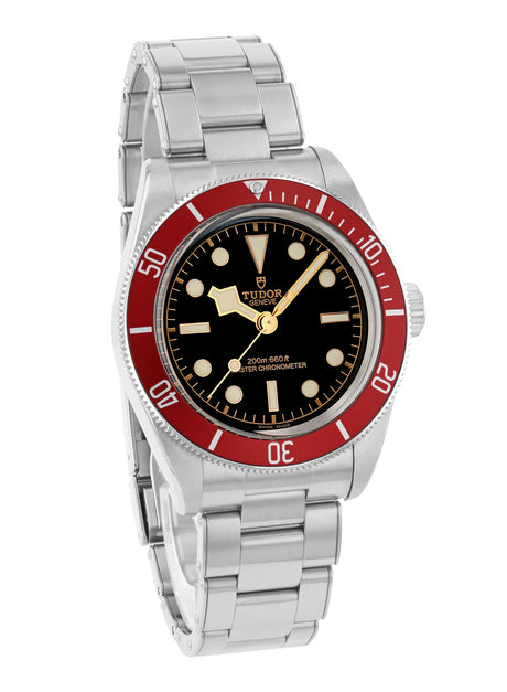Tudor Black Bay