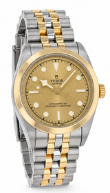 Tudor Black Bay 31 S&G