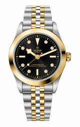 Tudor Black Bay 39 S&G