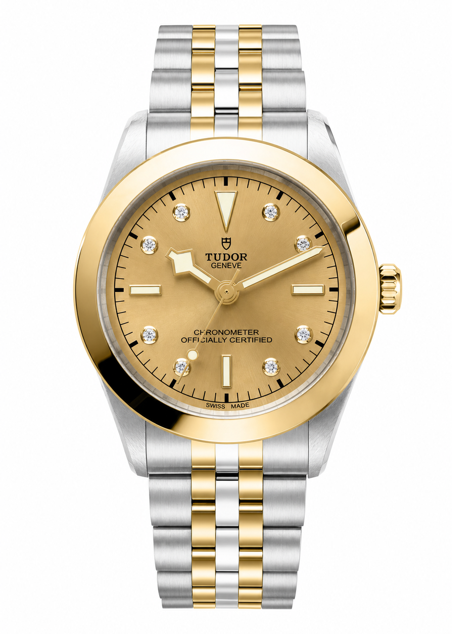 Tudor Black Bay 39 S&G Ref. M79663-0008