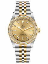Tudor Black Bay 39 S&G