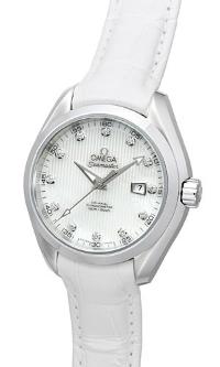 Omega Seamaster Aqua Terra Automatic | Version: 23113342055001 Omega Seamaster Aqua Terra Automatic Version 23113342055001