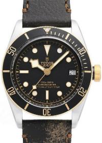 Tudor Black Bay S&G