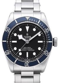 Tudor Black Bay