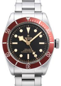 Tudor Black Bay