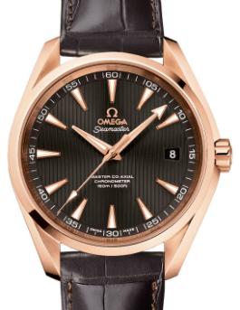 Omega Seamaster Aqua Terra Master Co-Axial Chronometer in der Version 231-53-42-21-06-002