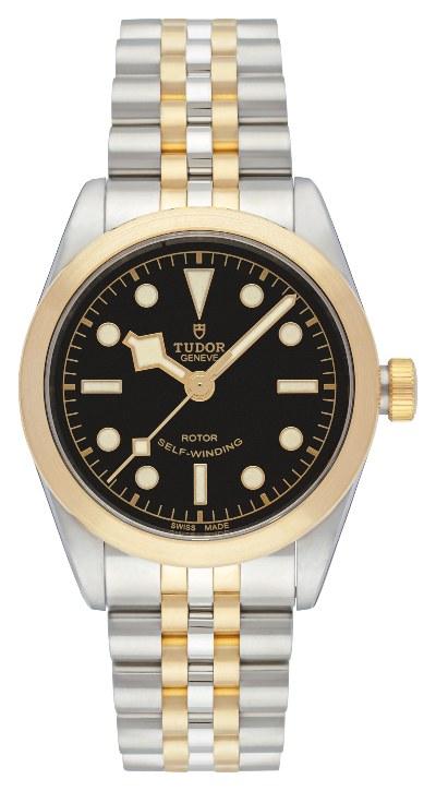 Tudor Black Bay 36 S&G