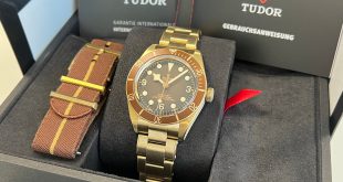 Was bedeutet Tudor