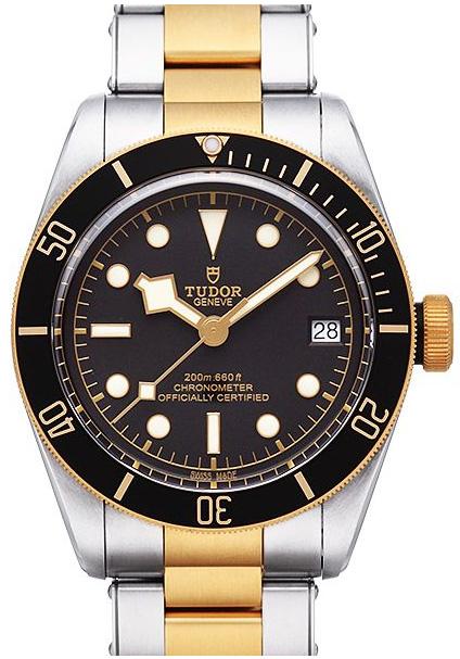 Tudor Black Bay S&G 