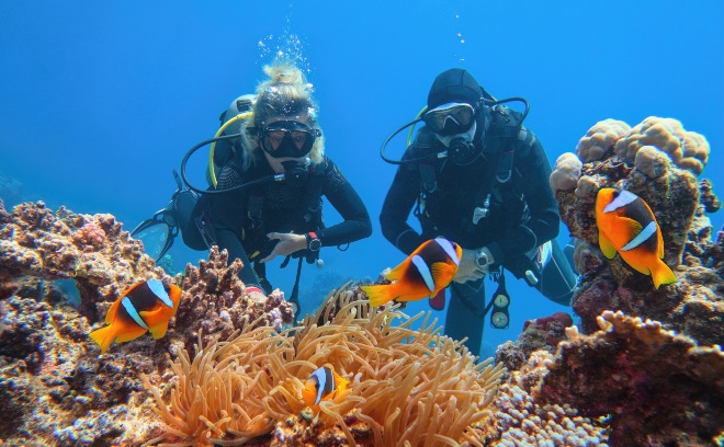 2-divers-at-the-coral-reef