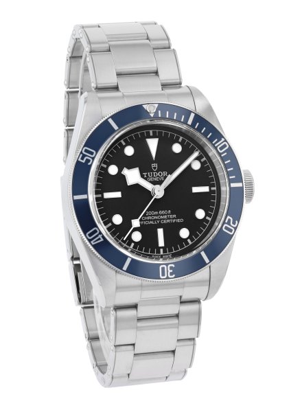 Tudor Black Bay