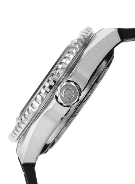 217_32_42_21_01_001-PLX501727_003