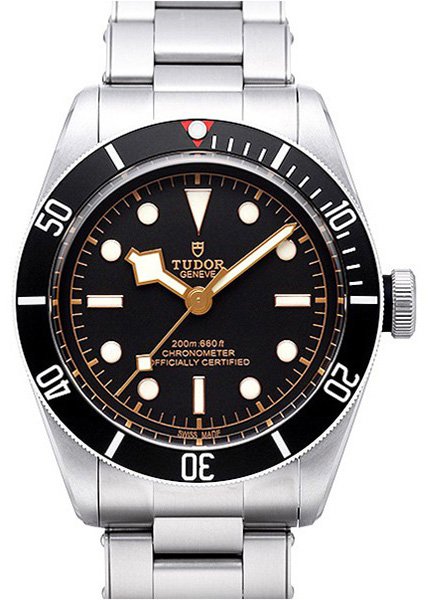 Tudor Black Bay