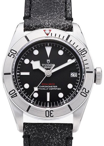 Tudor Black Bay Steel